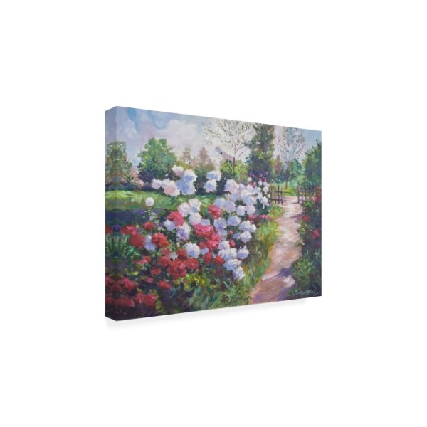 David Lloyd Glover 'Blossom Lane' Canvas Art,14x19